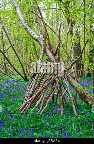 A stacked bundle of brushwood among bluebells in ancient woodland at Foxley, Norfolk, England, United Kingdom. Stock Photo