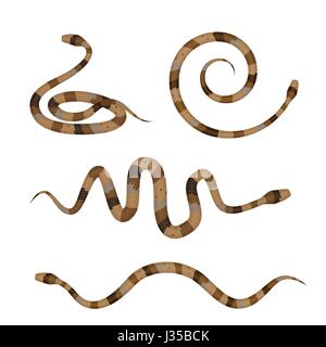 Collection of Brown Poisonous Snakes or Pythons Isolated on White Background. Vector illustration Stock Vector