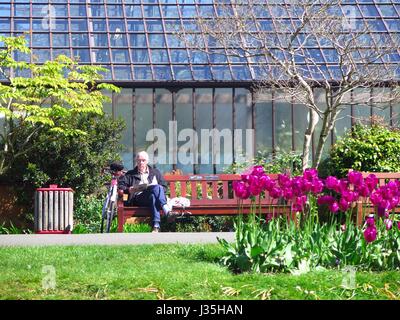 Botanic Gardens, Glasgow, UK. 3rd May, 2017. Glaswegians enjoy a beautiful day in the Botanic Gardens in Glasgow's West End. Credit: ALAN OLIVER/Alamy Live News Stock Photo