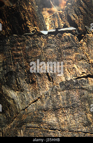 Inner Mongolia, China. 3rd May, 2017. Mysterious rock paintings can be seen in north China's Inner Mongolia Autonomous Region, reflecting history and daily life of people living in Inner Mongolia. Credit: SIPA Asia/ZUMA Wire/Alamy Live News Stock Photo