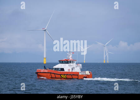 A crew transfer vessel (CTV), Njord Avocet, on Walney Extension Offshore Wind Farm Stock Photo