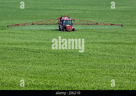 Tractor spraying pesticides on big green field with young grain Stock Photo