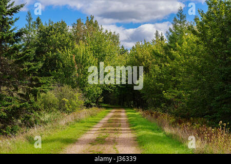 Hiking trail in rural Prince Edward Island, Canada know as the Confederation Trail or the Trans Canada Trail. Stock Photo