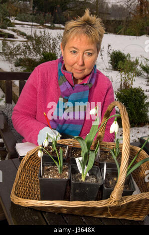 Gardener Val Bourne in the garden of her cottage in the Cotswolds, Gloucestershire,UK Stock Photo