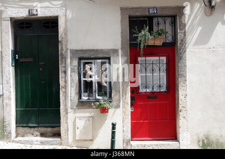 Front doors of two adjoining houses, numbers 164 & 166, one red one green, with a small window between them with two boots acting as planters. Stock Photo