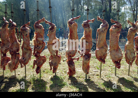 Bidonì, Sardinia. Easter Monday village festival: lamb roasted Stock Photo