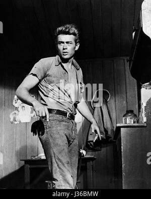 Giant   Year: 1956 USA  James Dean   Director: George Stevens.  It is forbidden to reproduce the photograph out of context of the promotion of the film. It must be credited to the Film Company and/or the photographer assigned by or authorized by/allowed on the set by the Film Company. Restricted to Editorial Use. Photo12 does not grant publicity rights of the persons represented. Stock Photo