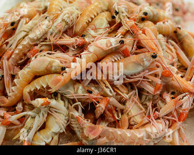 langoustine in seafood market Stock Photo