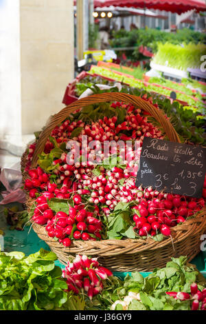 Radishes and Lettuce with price tag in French in a local French village farmers' market. Stock Photo