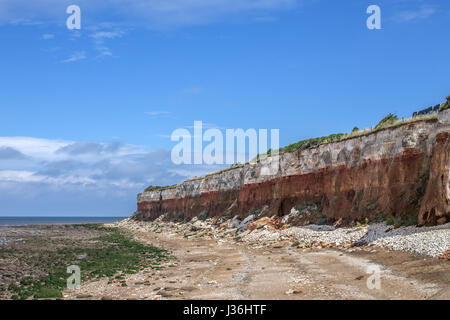 red and white cliffs of Hunstanton, Old Hunstanton taken at low tide on a sunny summers day with the sea in the distance and rocks and seaweed Stock Photo