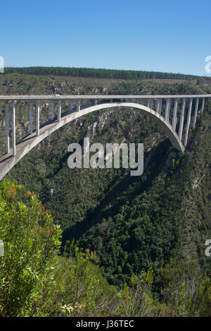 Bloukrans Bridge Tsitsikamma National Park Garden Route South Africa Stock Photo