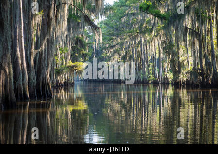 Swamp bayou scene of the American South featuring old wooden shack ...