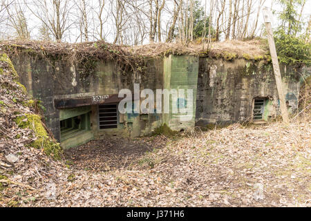 Bunker in the Hurtgenwald - Hurtgen Forest, Huertgenwald, Hürtgenwald, Hurtgenwald, Eifel, North Rhine Westphalia, NRW, Germany, Europe Stock Photo