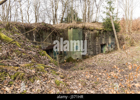 Bunker in the Hurtgenwald - Hurtgen Forest, Huertgenwald, Hürtgenwald, Hurtgenwald, Eifel, North Rhine Westphalia, NRW, Germany, Europe Stock Photo