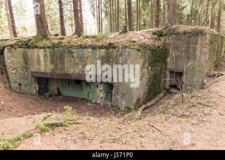 Bunker in the Hurtgenwald - Hurtgen Forest, Huertgenwald, Hürtgenwald, Hurtgenwald, Eifel, North Rhine Westphalia, NRW, Germany, Europe Stock Photo