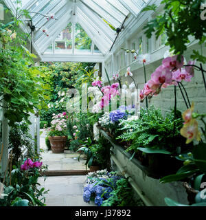 Greenhouse with open door. Stock Photo