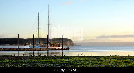 Sailboat docked, Coupeville WA Stock Photo