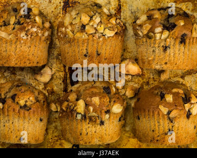 Banana and Chocolate Chip Muffins Stock Photo