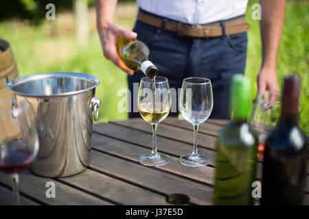 Mid section of man pouring wine in glass on table at vineyard Stock Photo