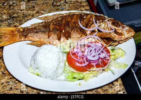 Miami Florida,El Chalan,restaurant restaurants food dining cafe cafes,Peruvian food,dining,plate,fish,whole snapper,fried,salad,rice,lunch,FL170326010 Stock Photo