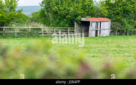 Abandoned wooden hut. Old derelict wooden hut in a field. Stock Photo