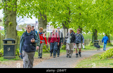Group of elderly people walking with rucksacks preparing to go hiking or rambling. Stock Photo