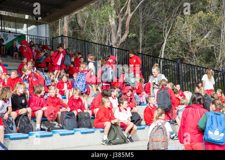 Primary school australian children participating in their primary school annual athletics events,Sydney,Australia Stock Photo