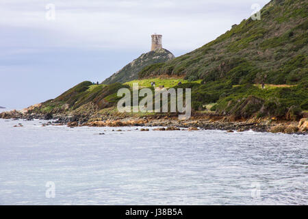 Genoese lookout towers from the 15th and 16th century can be seen along the scenic headlands of Point de la Parata, 15km southwest of Ajaccio, Corsica Stock Photo