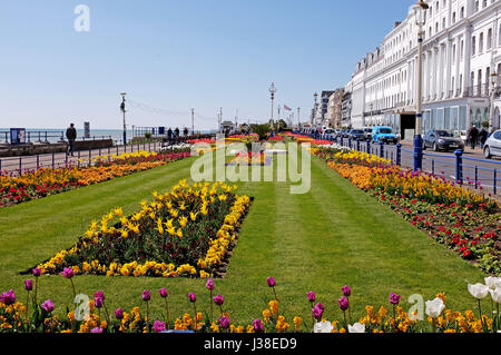 Beautiful tulips and Spring flowers on display alond Eastbourne seafront East Sussex UK Stock Photo