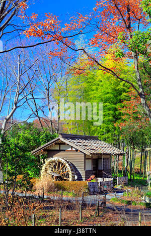 Watermill at Kyodo-no-Mori Open-air Folk Museum Fuchu city Tokyo Japan Stock Photo