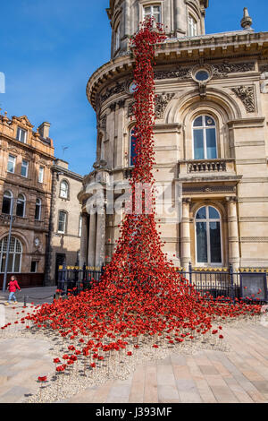 Poppies flowing from the weeping window in Victoria square Hull Stock Photo