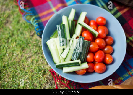 High angle view of vegetables in bowl on picnic blanket Stock Photo