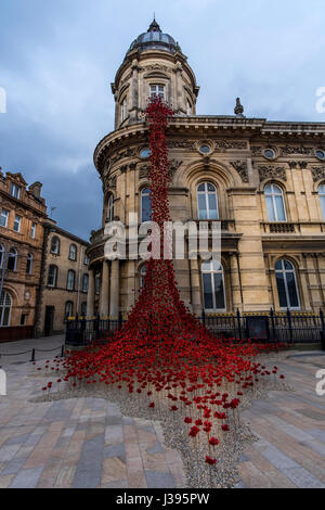 Poppies flowing from the weeping window in Victoria square Hull Stock Photo