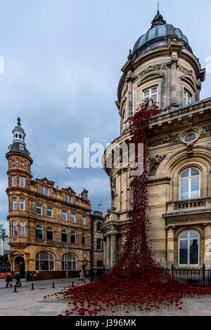 Poppies flowing from the weeping window in Victoria square Hull