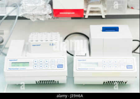 CANCER RESEARCH Stock Photo