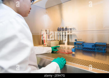 CANCER RESEARCH Stock Photo