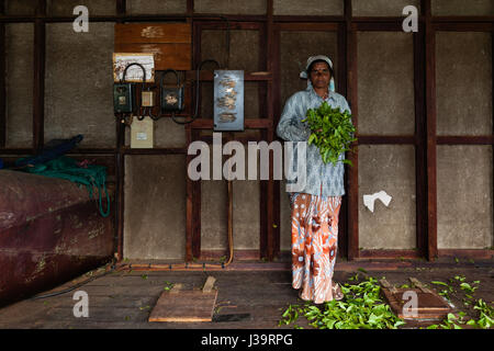 Inside a tea factory, near Munnar Stock Photo - Alamy