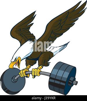 Vector cartoon clip art illustration of a bald eagle mascot diving or swooping down with spread wings and a barbell weight in its talons. Stock Vector