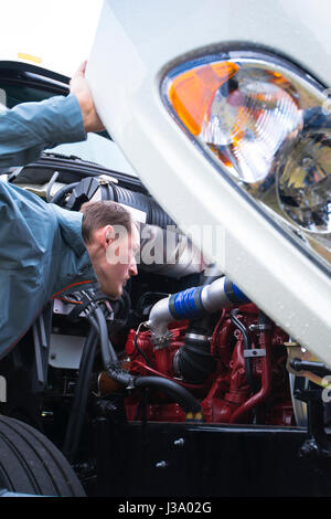 Male truck driver in a gray jacket inspects engine components on a semi truck with an open hood, checking it to make sure that all components Stock Photo