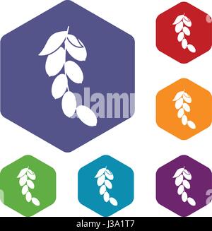 Branch of cornel or dogwood berries icons set Stock Vector