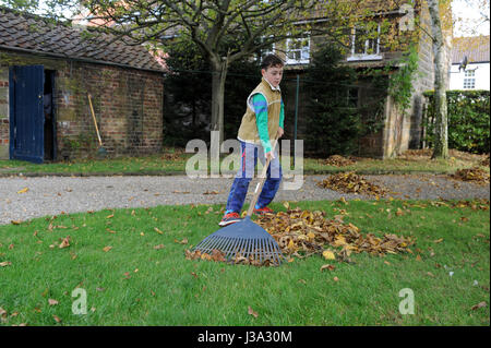 79 year old Grandfather and 12 year old grandson clearing leaves in the garden in North Yorkshire, UK. Stock Photo