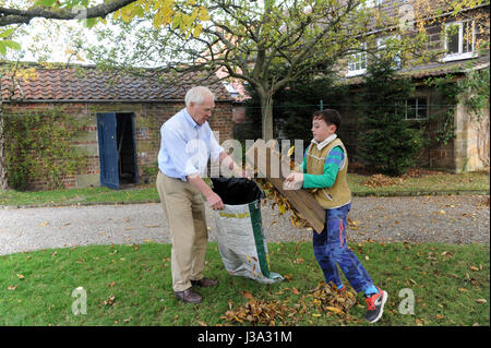 79 year old Grandfather and 12 year old grandson clearing leaves in the garden in North Yorkshire, UK. Stock Photo