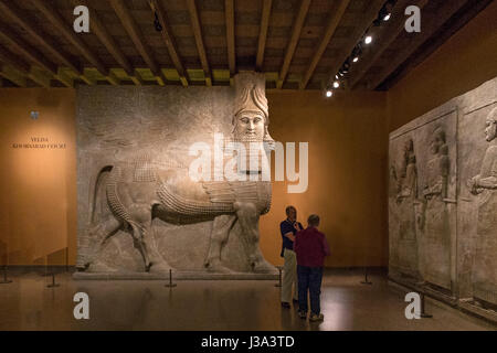 Human-headed winged bull (Lamassu) from Khorsabad, Oriental Institute Archaeological Museum of Chicago University Stock Photo