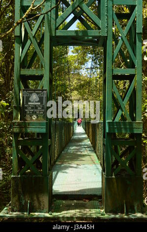 Hanging bridge in the cloud forest, Monteverde, Costa Rica. Stock Photo