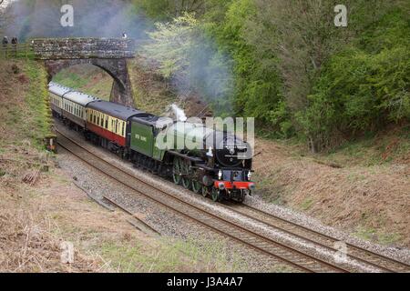 Steam train LNER Peppercorn Class A1 60163 Tornado. Cowran Cut, Cowran Cutting, Brampton, Newcastle & Carlisle Railway, N&CR, Cumbria, England.
