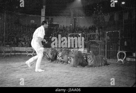 Circus program with predators, 1954 Stock Photo