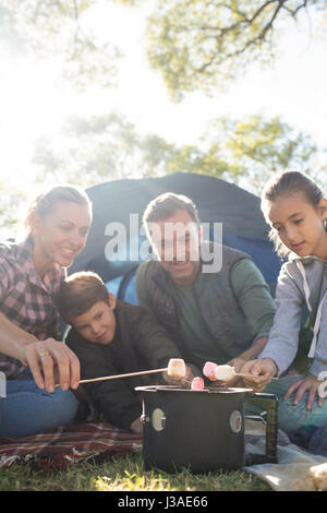 Family roasting marshmallows outside the tent on a sunny day Stock Photo