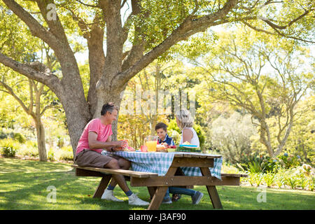 Happy family interacting with each other while having meal in park on a sunny day Stock Photo