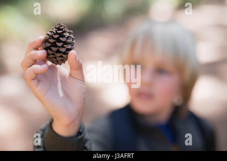 High angle view of boy holding pine cone in forest Stock Photo