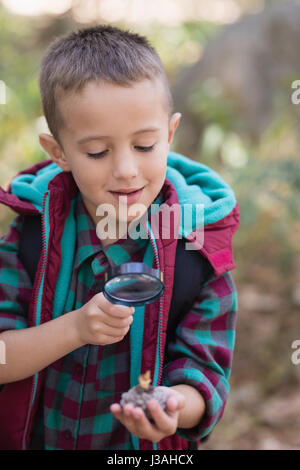 Little boy exploring stone while hiking in forest Stock Photo